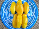 YELLOW BANANA-2631