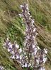 IMG_20140622_094623