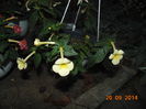 DSC05500