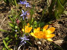 Blue & Yellow (2014, March 12)