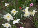 Spring Colors (2014, March 25)