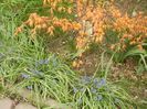 Spring Colors (2014, March 25)