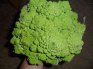 brocolli romanesco