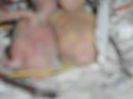 DSCN1990