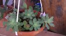 WP_20140925_13_49_28_Pro