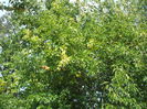 DSCF8193