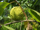 DSCF8198