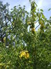 DSCF8210
