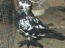 IMG-20140923-00878