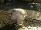 Picture 354