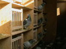 Picture 374
