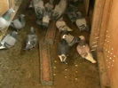 Picture 379