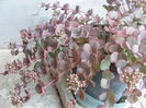 DSCF0077