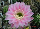 DSC08000