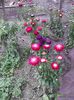 IMG_20140904_174828