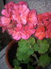 20140921_093843