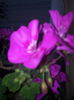20140921_094029
