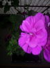 20140921_094055