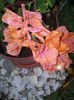 20140921_094421