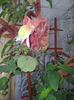 20140921_100622