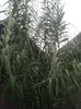 20140921_101018