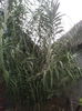 20140921_101026