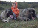 SAM_1041