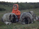 SAM_1042