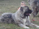 SAM_1055
