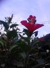 IMG_20140919_174619