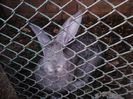 IMG_20140927_190049