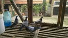 IMG-20140926-WA0033