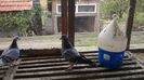 IMG-20140926-WA0034