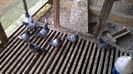 IMG-20140926-WA0039