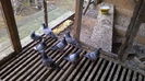 IMG-20140926-WA0040