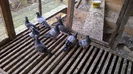 IMG-20140926-WA0047