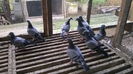 IMG-20140926-WA0048