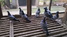 IMG-20140926-WA0049