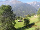 IMG_2419