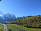 IMG_2447