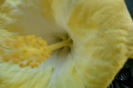 SAM_2062