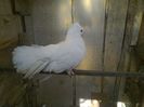 Imag 011651