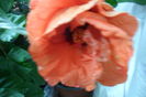 SAM_2080