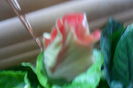 SAM_2082