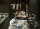Imag 011636