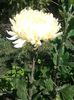 IMG_20140914_112459