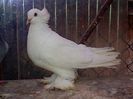 IMG-20140625-00501