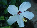 DSCN7073