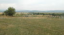 DSCF5464