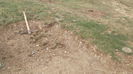 DSCF5514